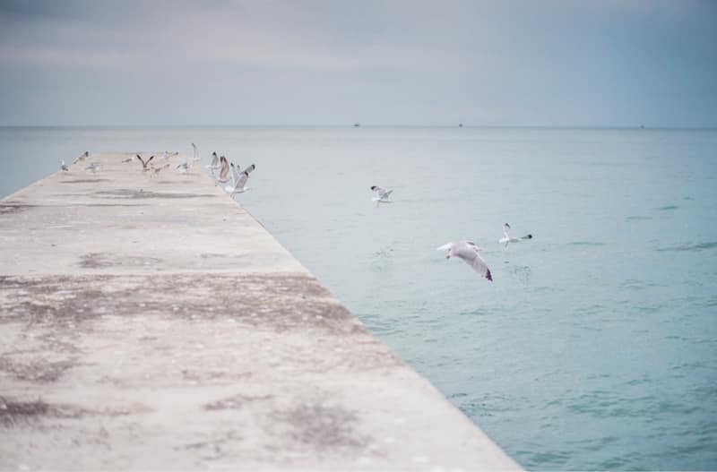 img-9